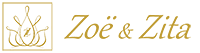 transaparant logo ZZ x